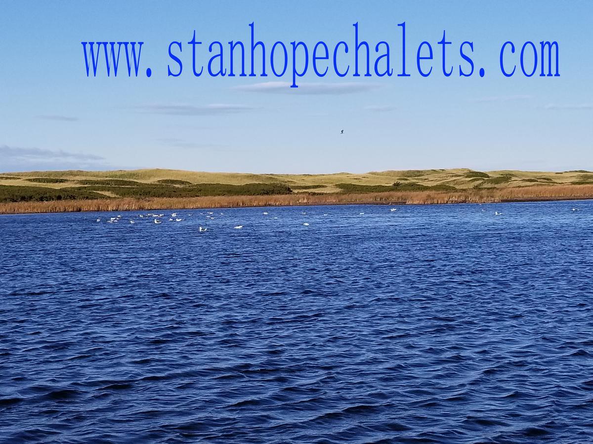 Merry Stanhope Chalets Hotel Екстериор снимка